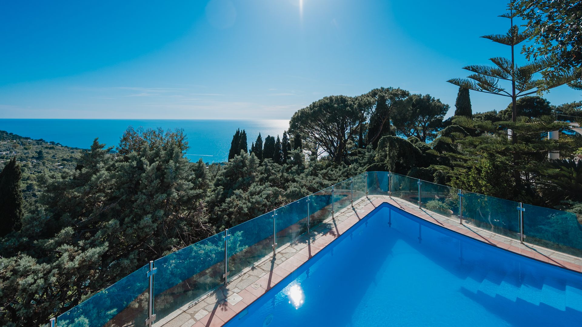 Blue Oasis photo 4