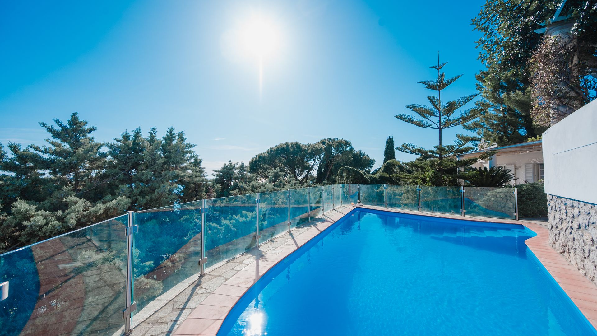 Blue Oasis photo 3
