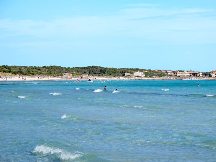 Son Viquet photo 42