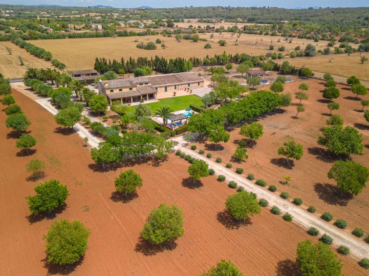 Son Viquet photo 38