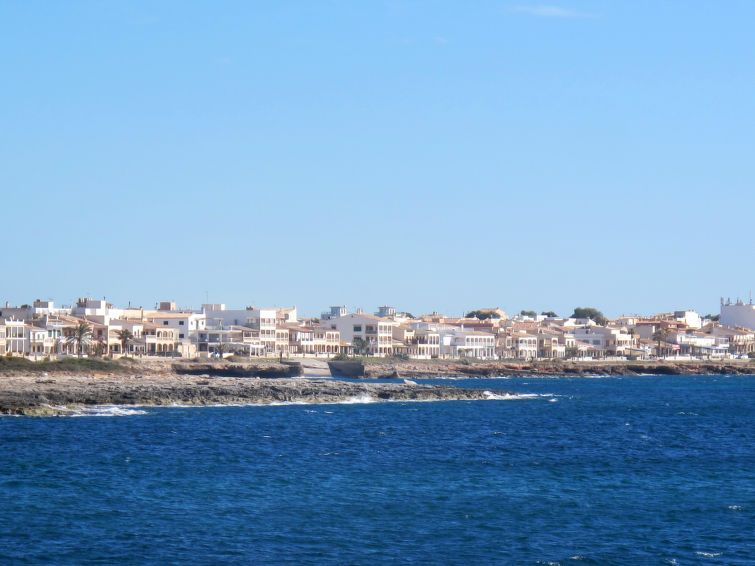 Marinassa photo 31