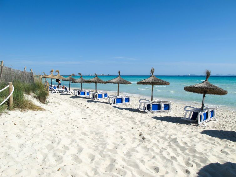 Marinassa photo 32