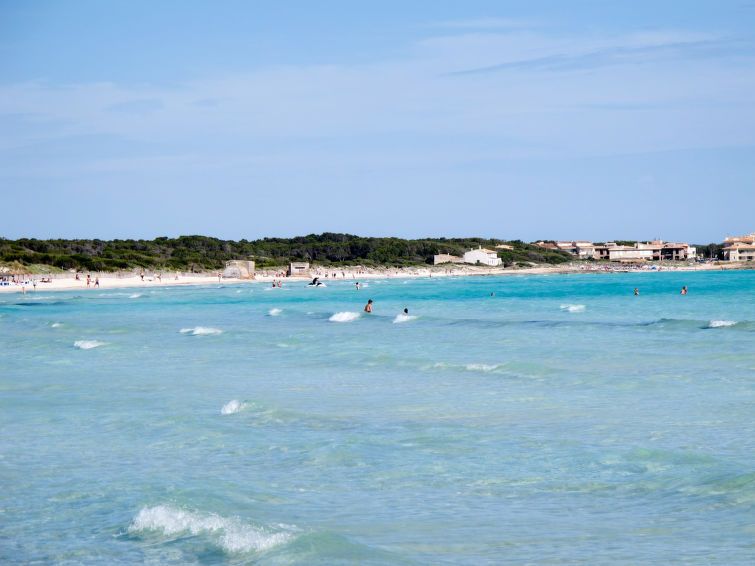 Marinassa photo 33