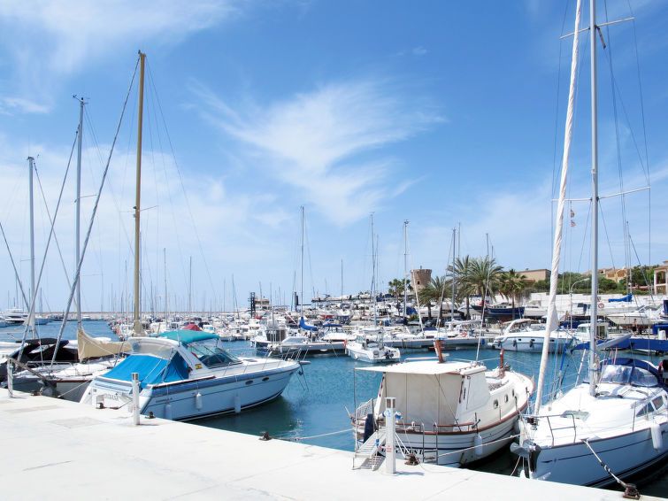 Marinassa photo 35
