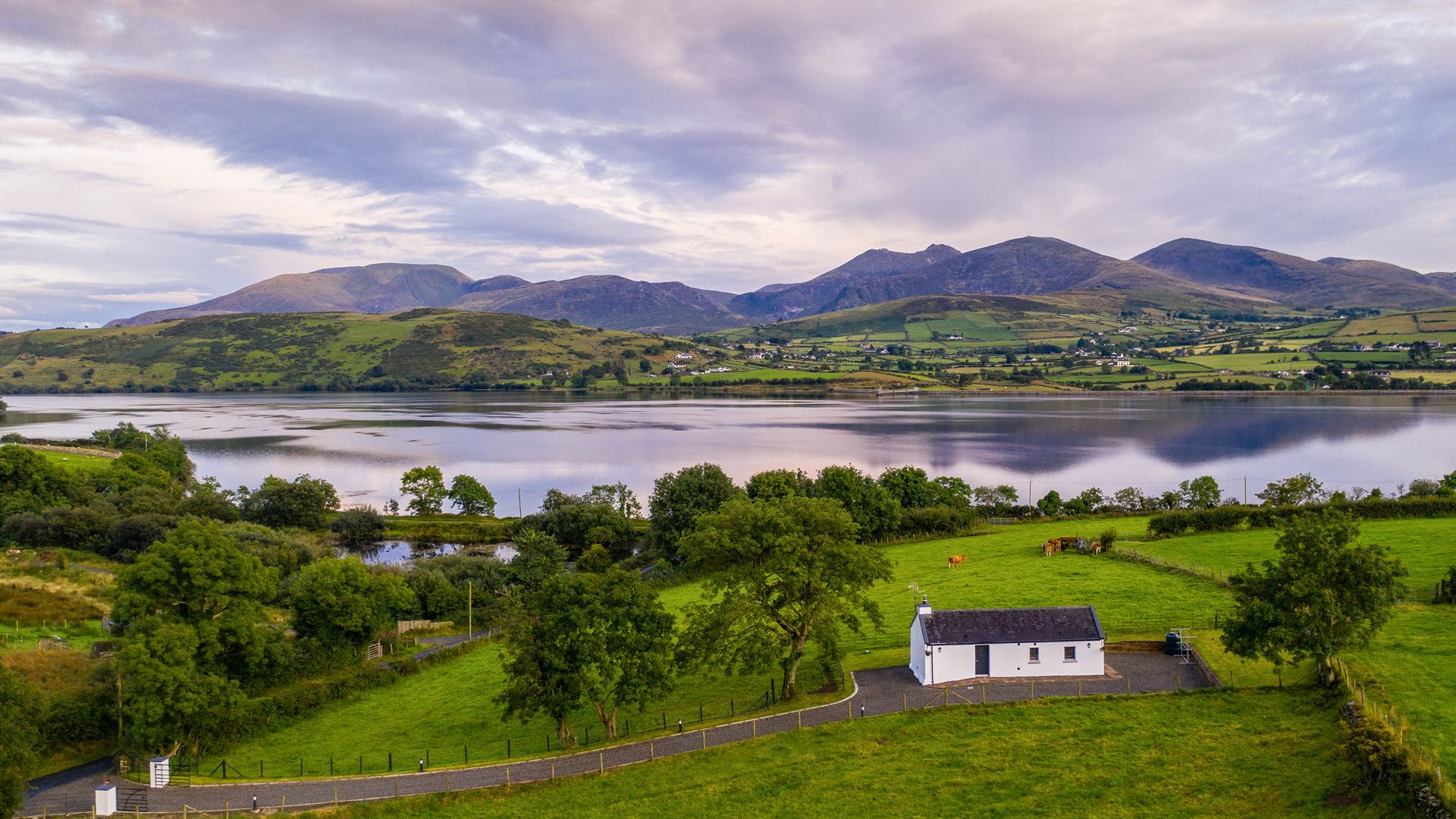 Lough Island Reavy Cottage photo 1