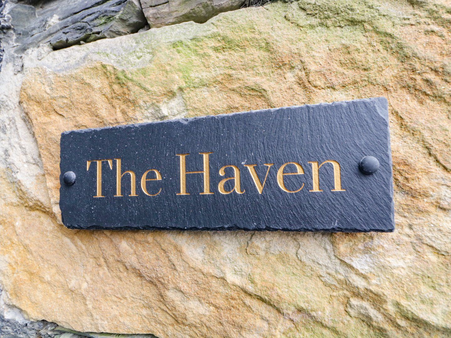 The Haven photo 3