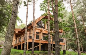 Pine Marten Lodge reviews