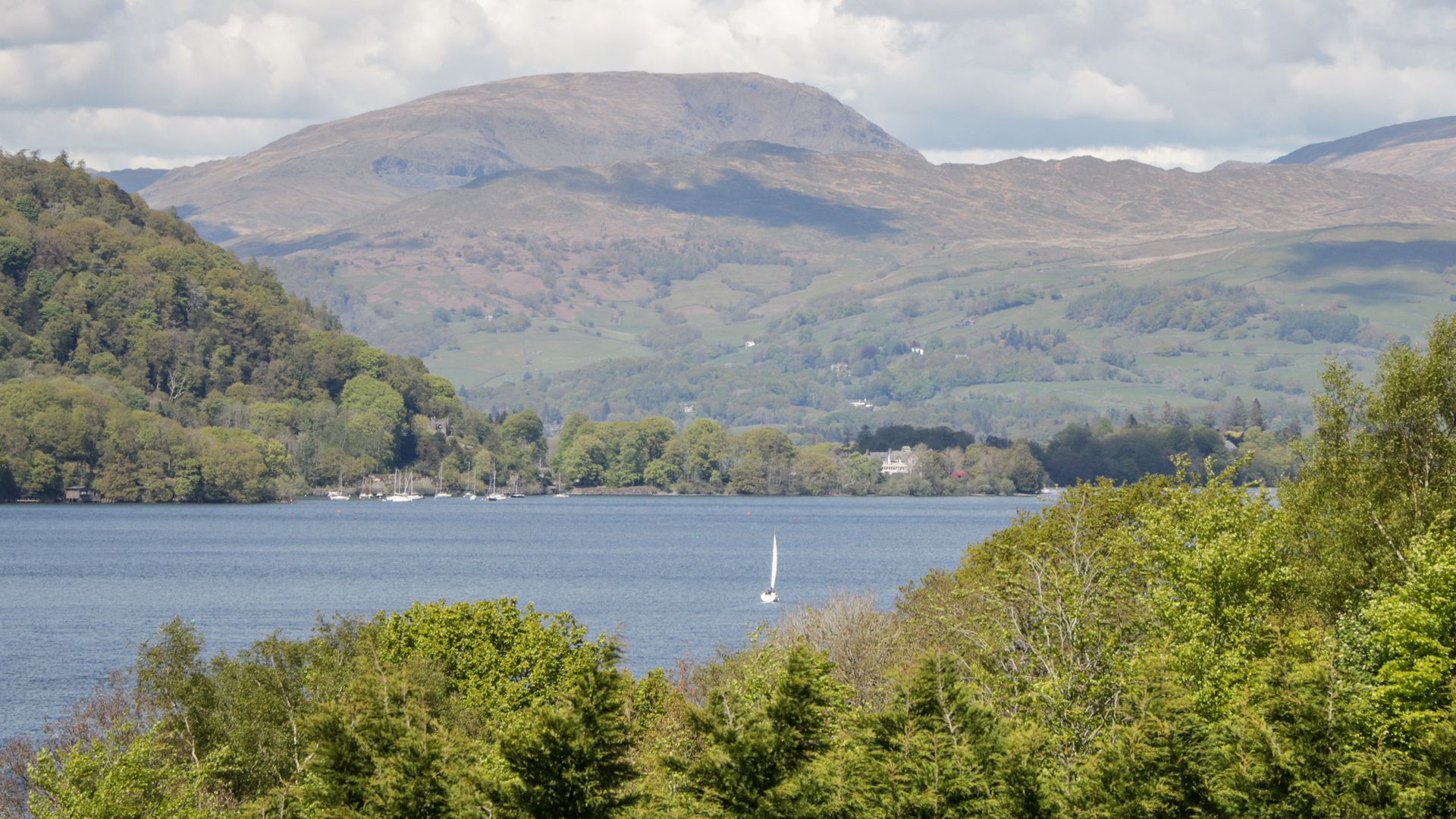 Grizedale photo 3