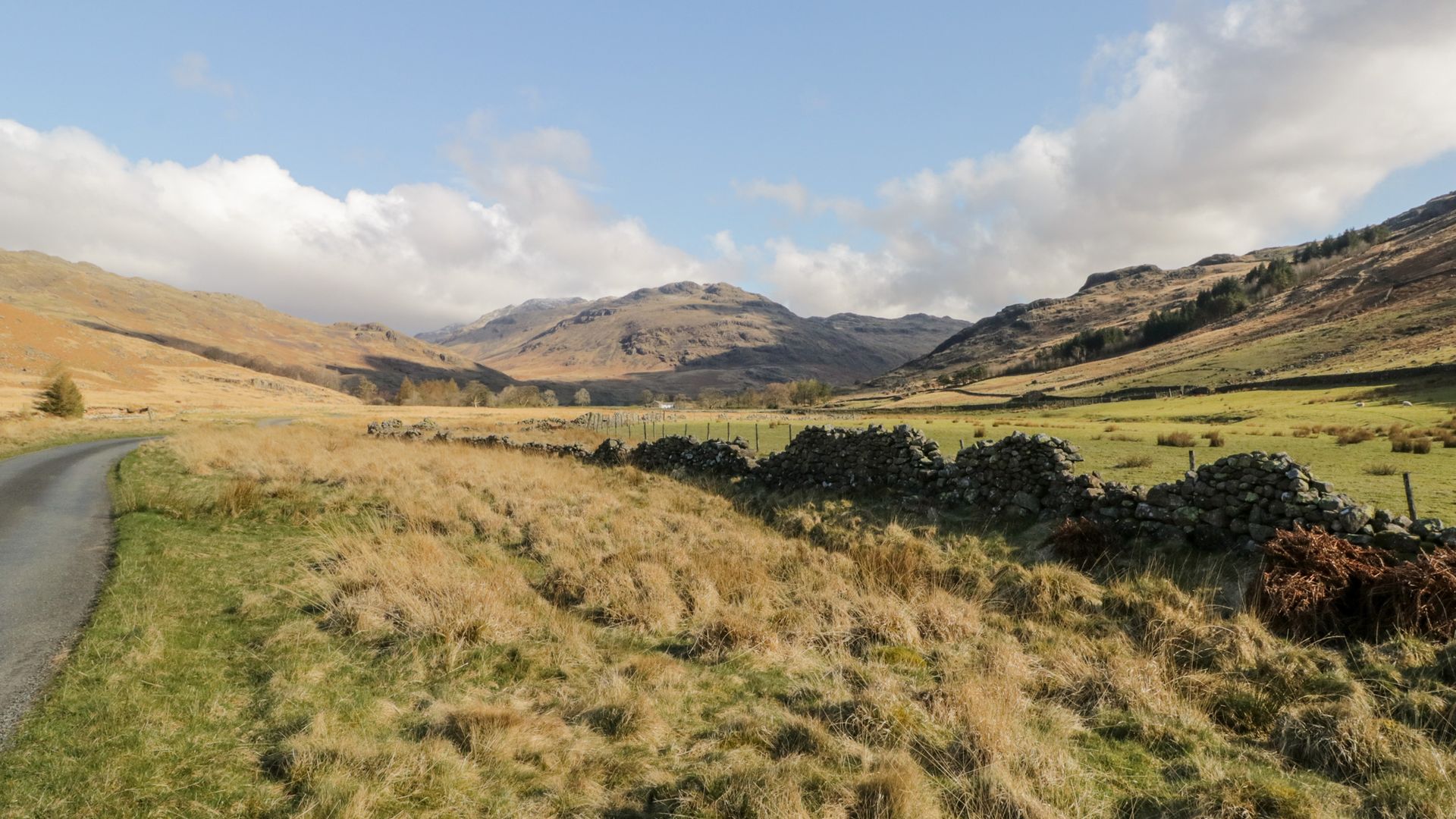 Grizedale photo 5
