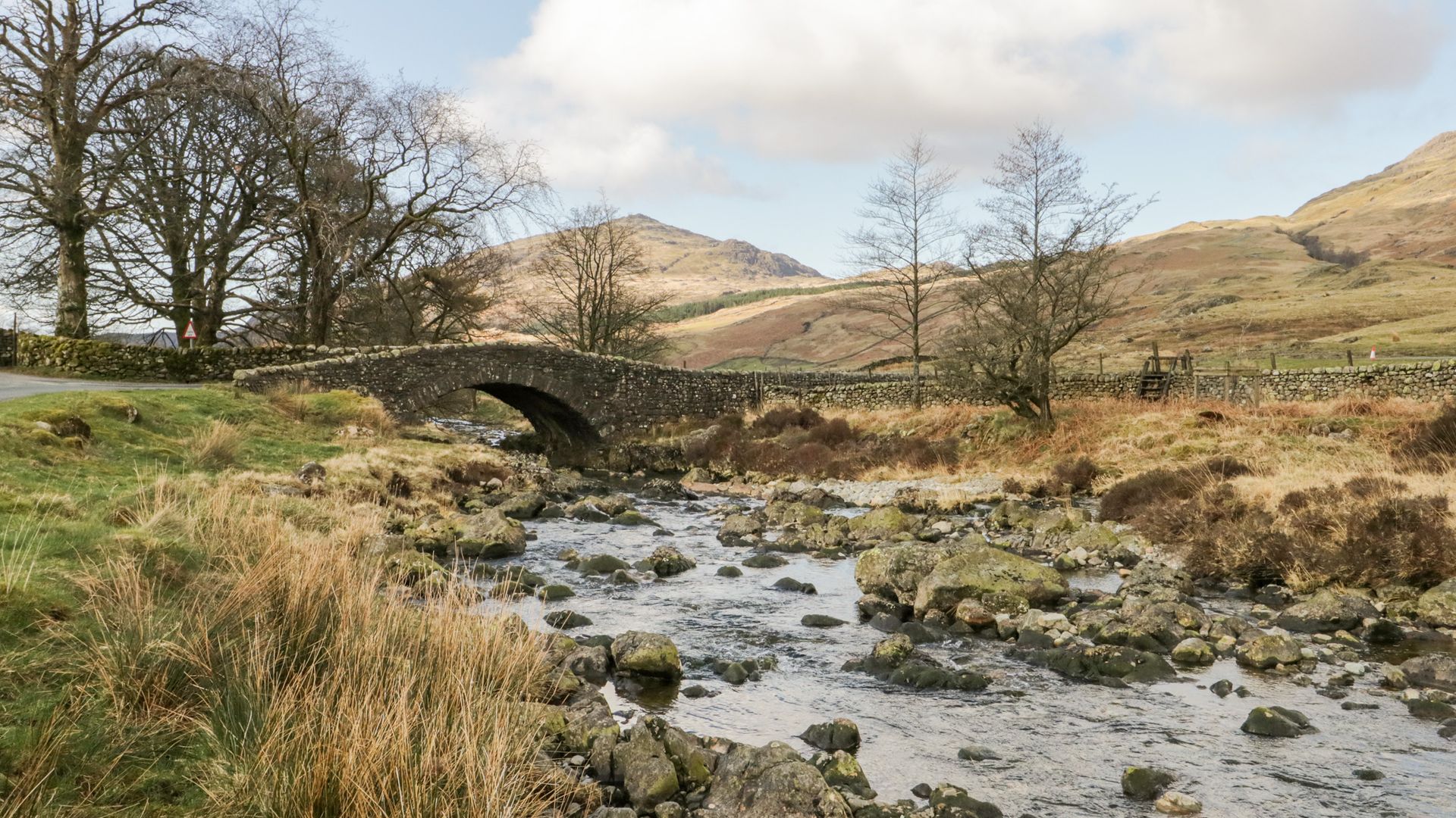 Grizedale photo 6