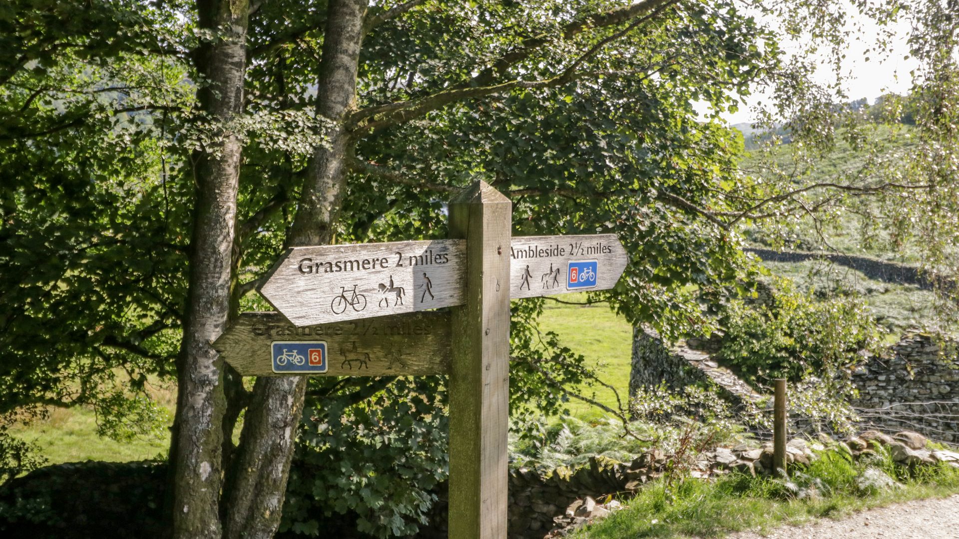 Grizedale photo 7