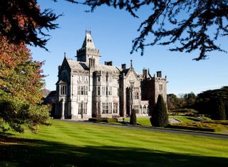 Adare Manor Lodges