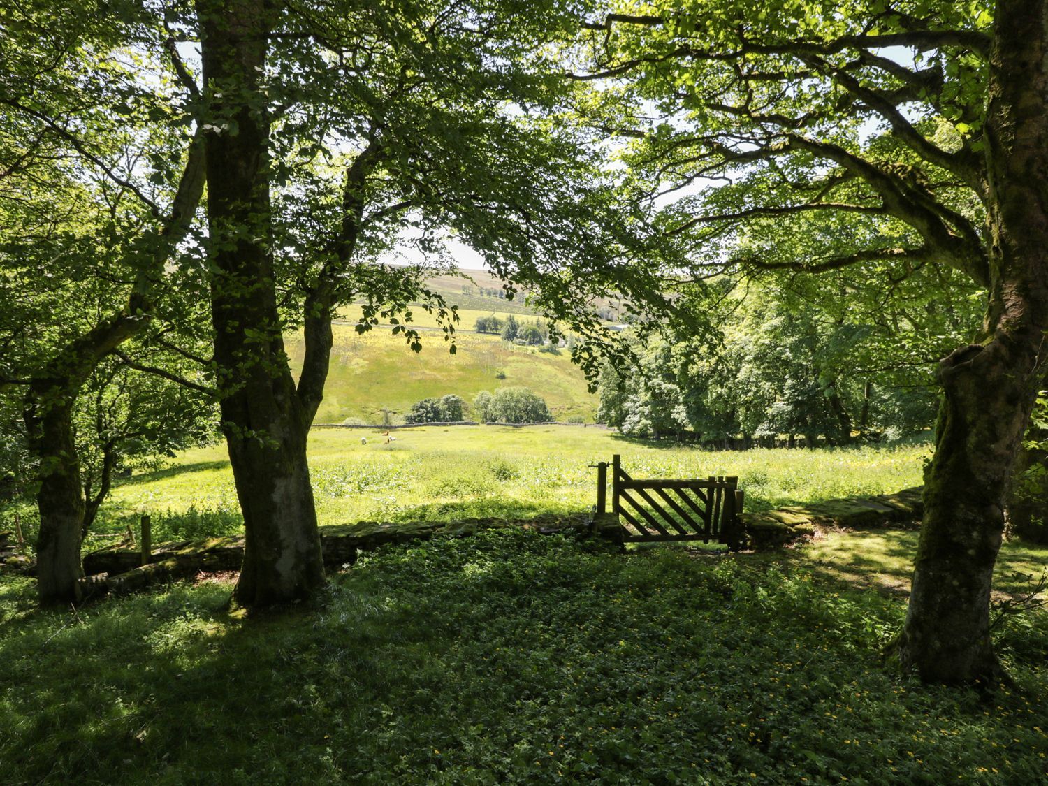 Bothy photo 8