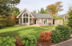 Swandown, 2 Blackdown reviews