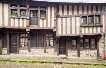Timbered Trove