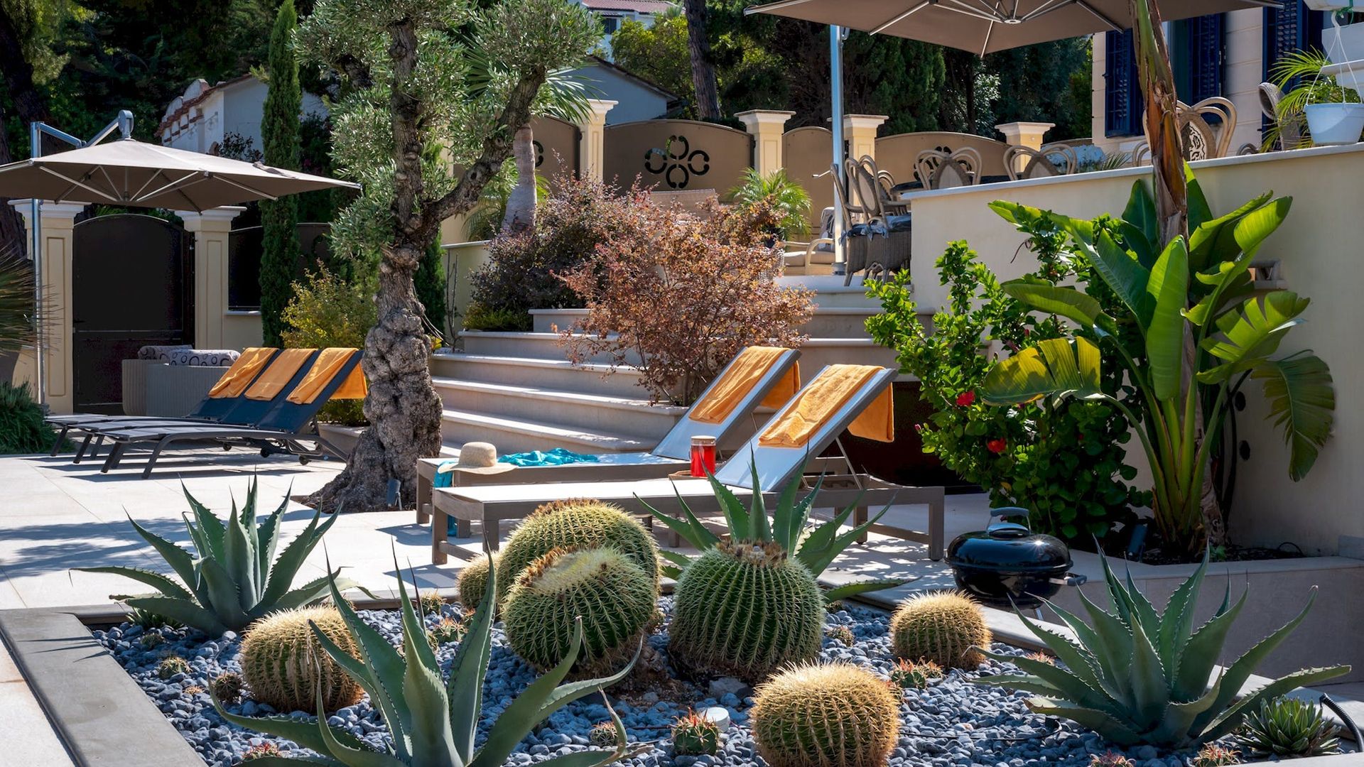 Aria of the Palms photo 10