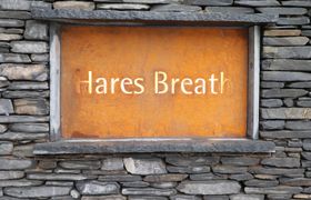 Hare's Breath