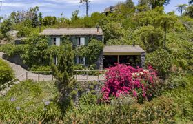 Beyond the Bougainvillea