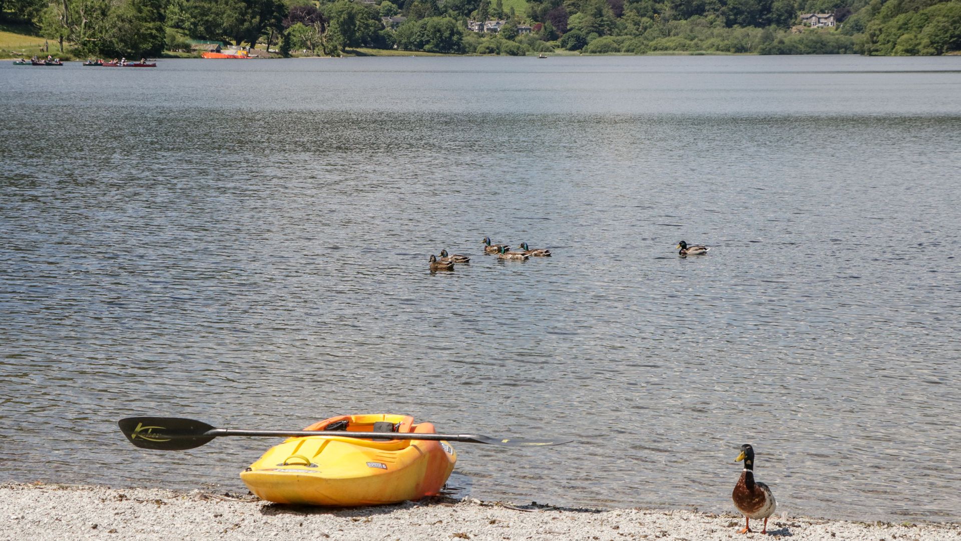 Coniston photo 8