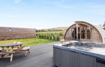 Log Cabin in Mid Wales