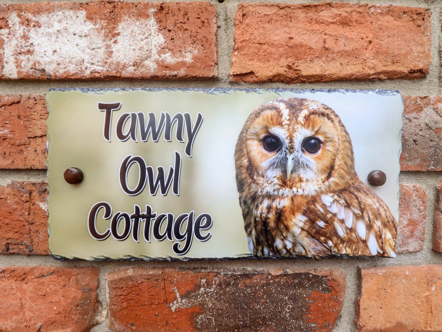 Tawny Owl Cottage photo 2