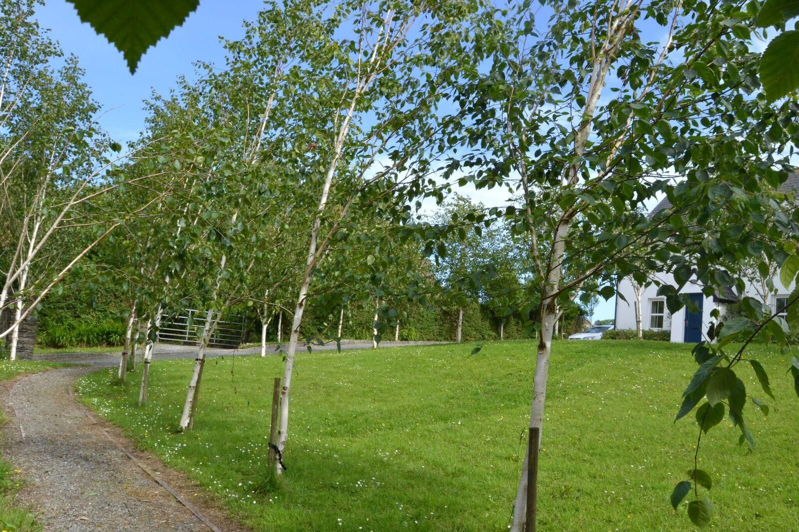Rosscarbery House West Cork photo 4