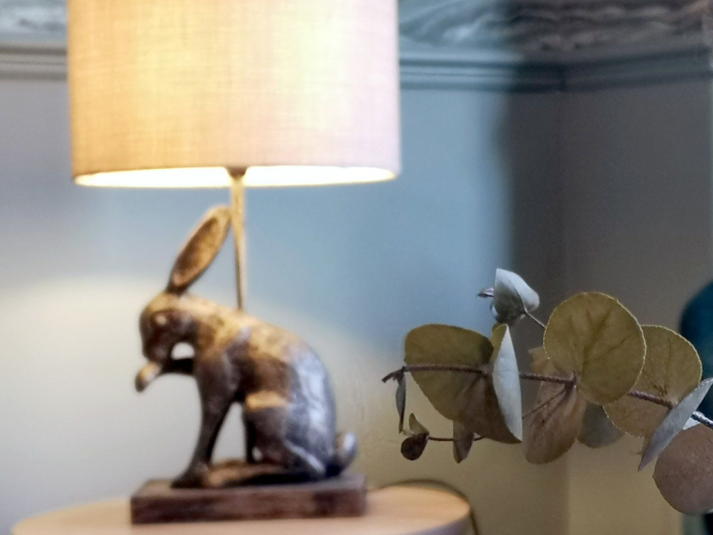 Squirrel Lodge photo 7
