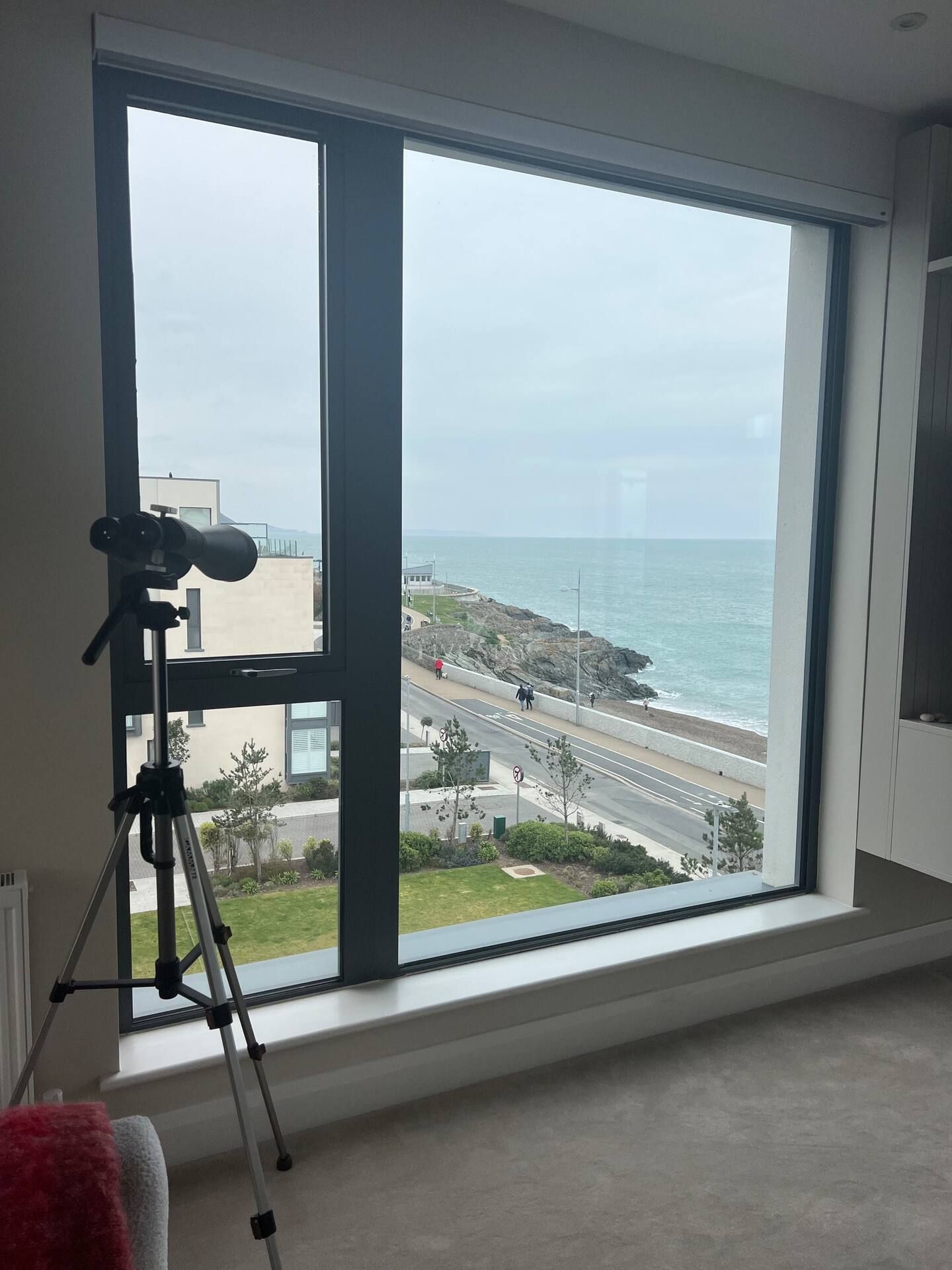 Family Sea View Greystones photo 22