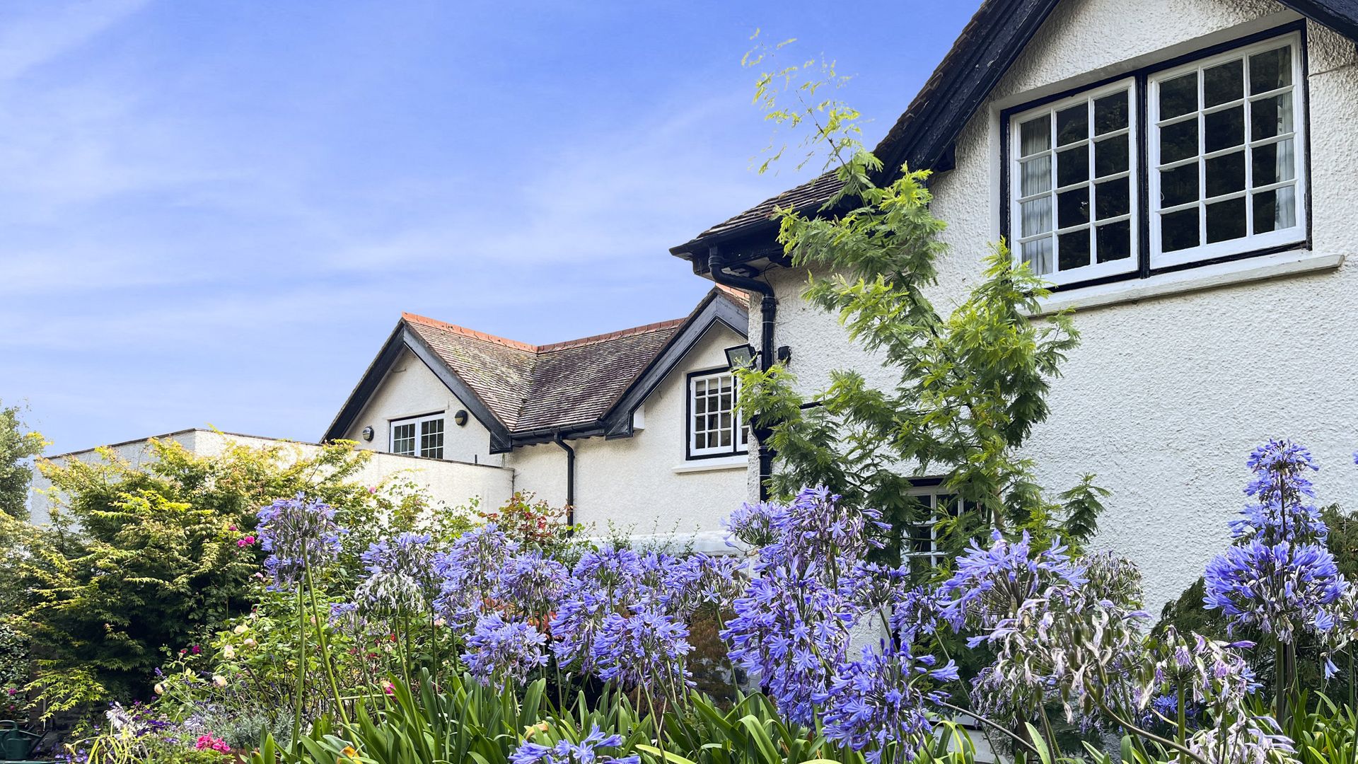 Garden View, Porlock Weir photo 8