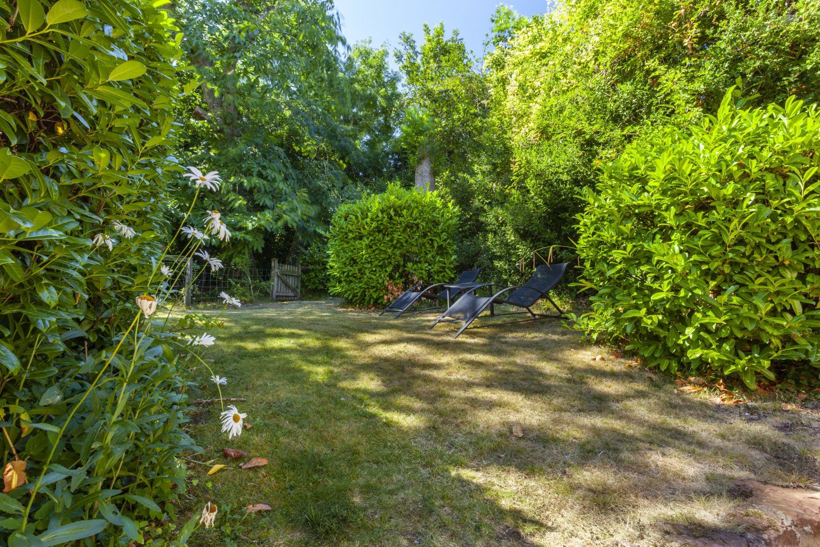Horner Cottage, Luccombe photo 9