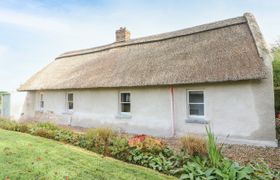 New Thatch Farm