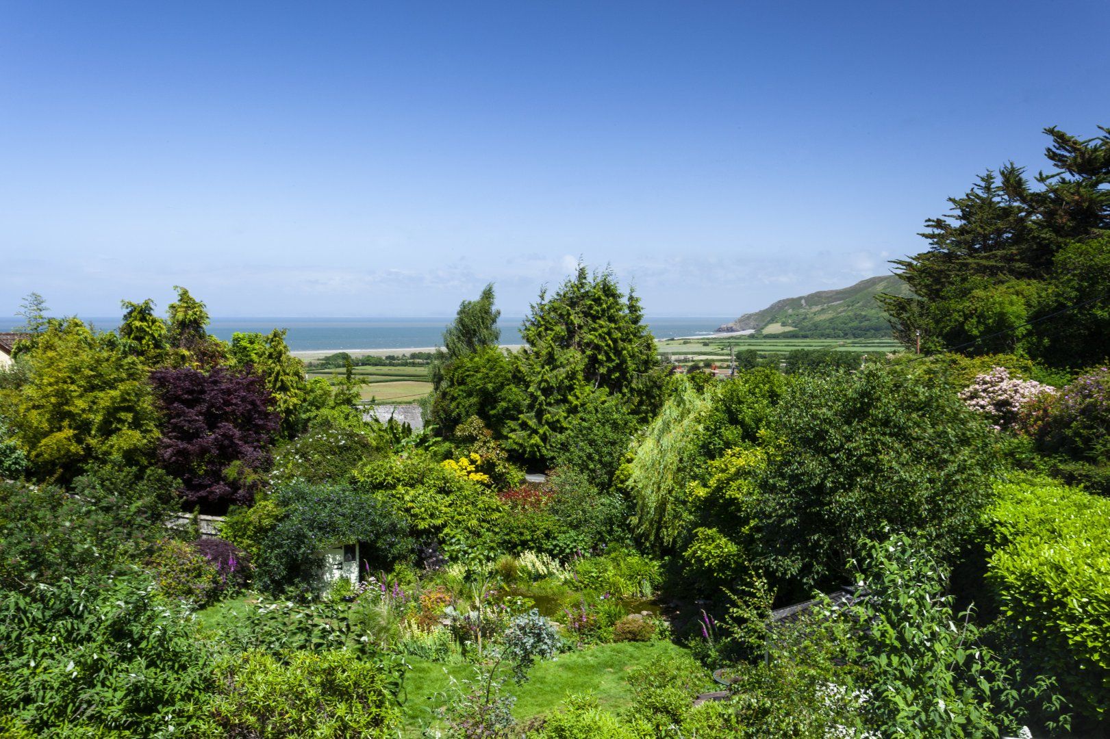 Jasmine Cottage, Porlock photo 4