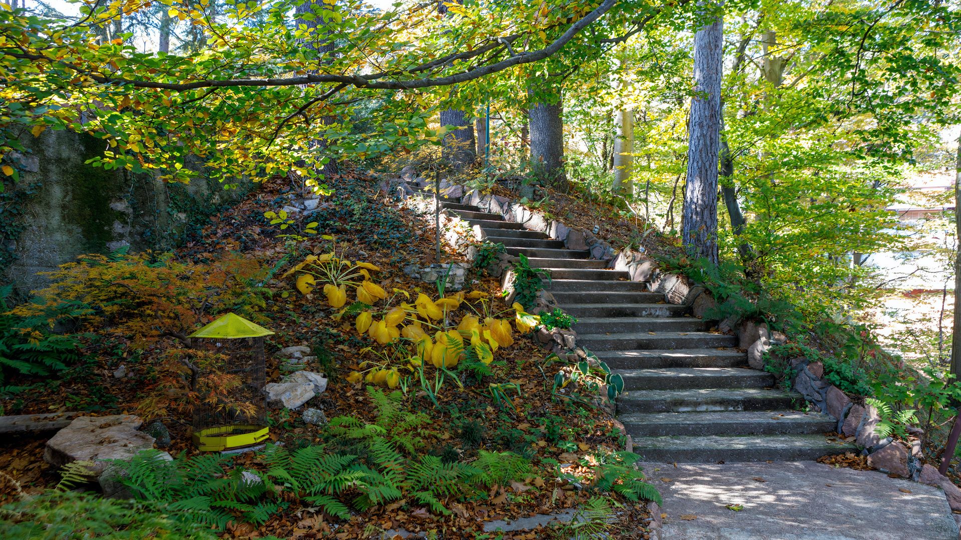 Mountain Gate photo 8