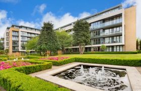 Luxury Donnybrook Apartment reviews