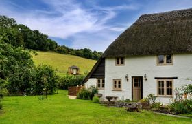 Thatch and Tranquility reviews
