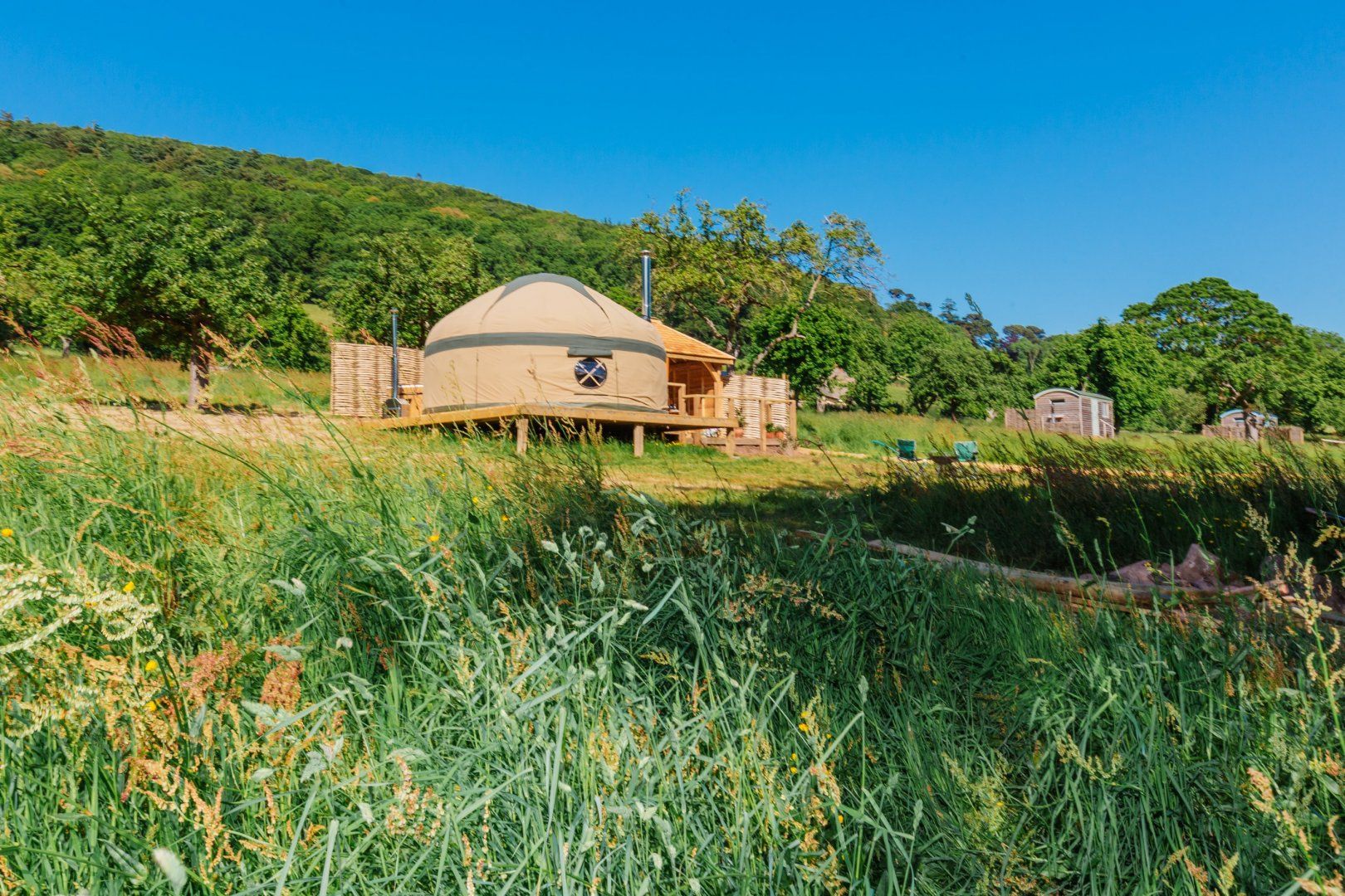 Orchard Yurt, Allerford photo 6