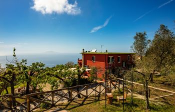 Dreams of Sorrento