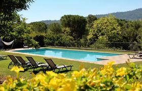 Mediterranean Breeze reviews