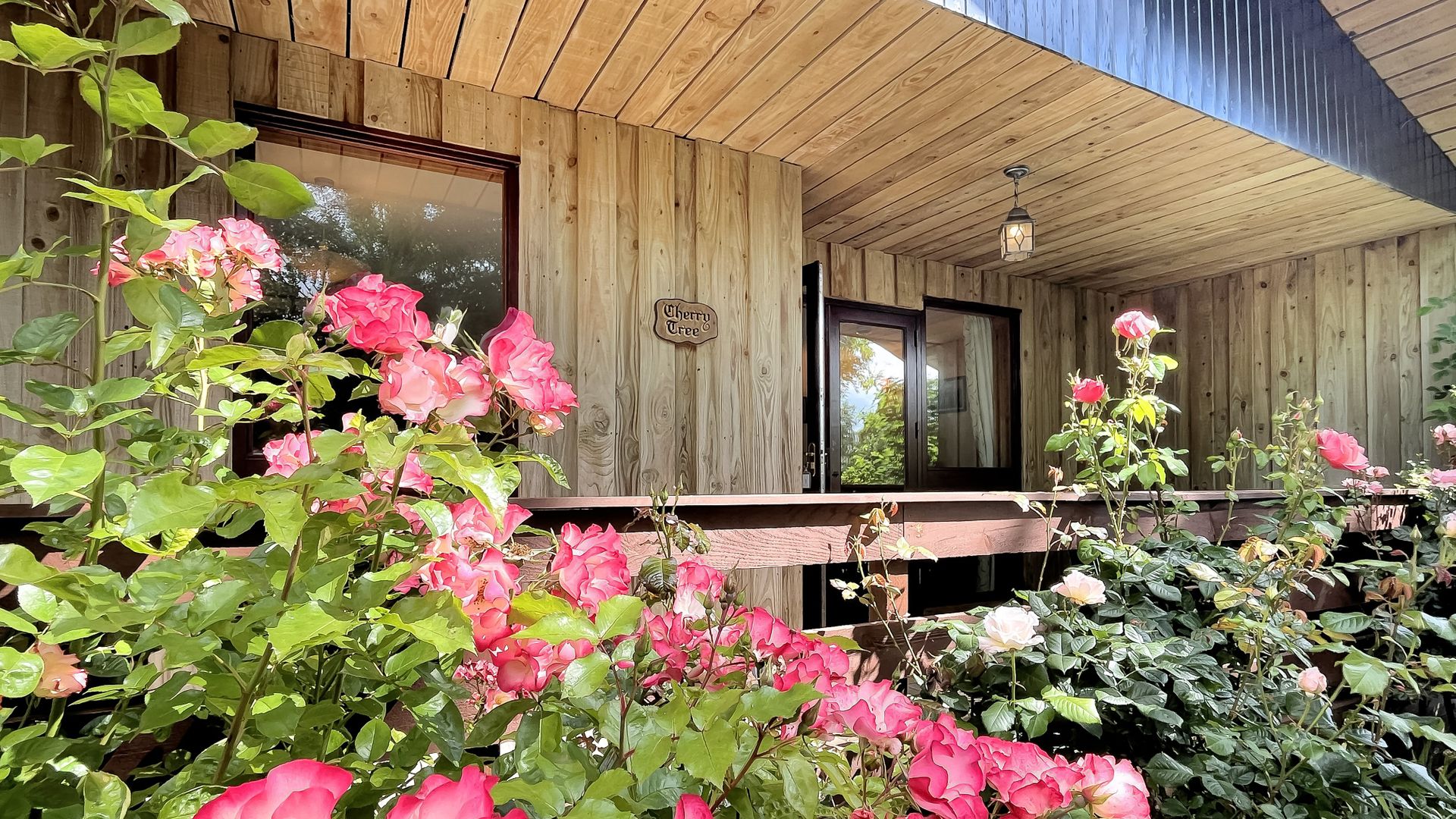 Cherry Tree Lodge♿ photo 5