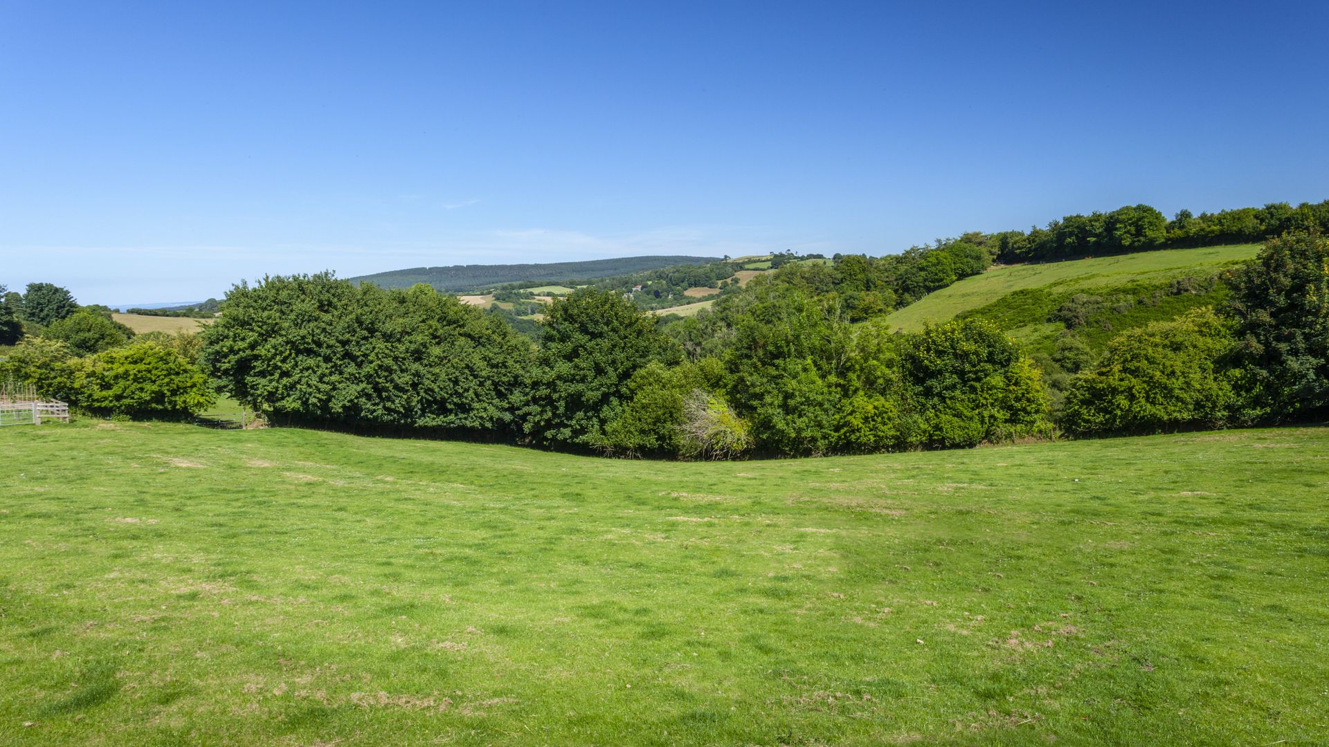 Syms Cottage, Cutcombe photo 8