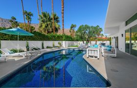 Palm Springs Spirit reviews