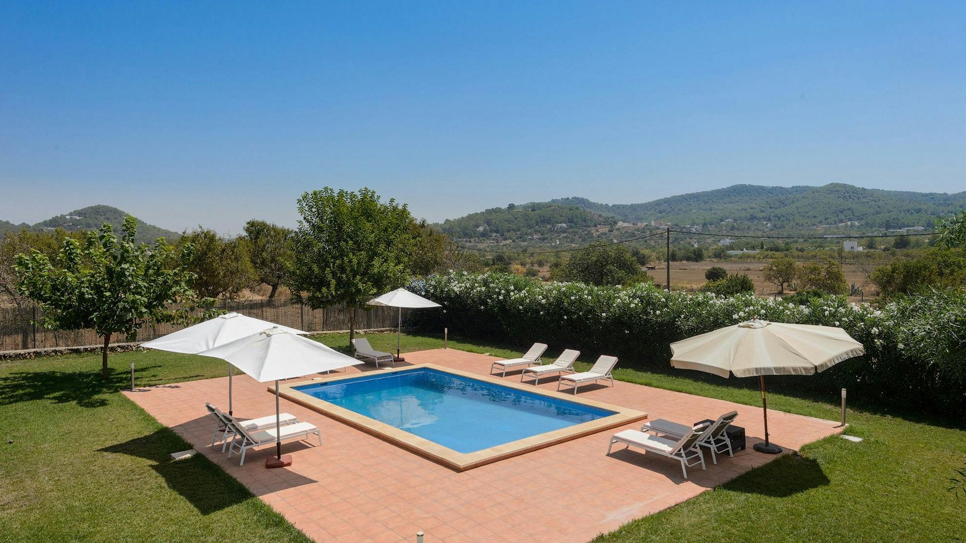 Ibiza Blue photo 6