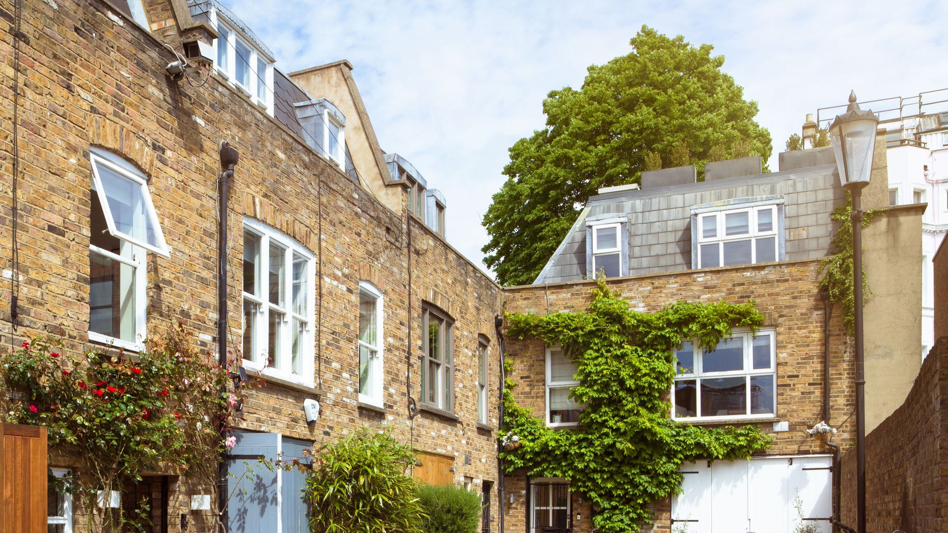 Notting Hill Oasis photo 1