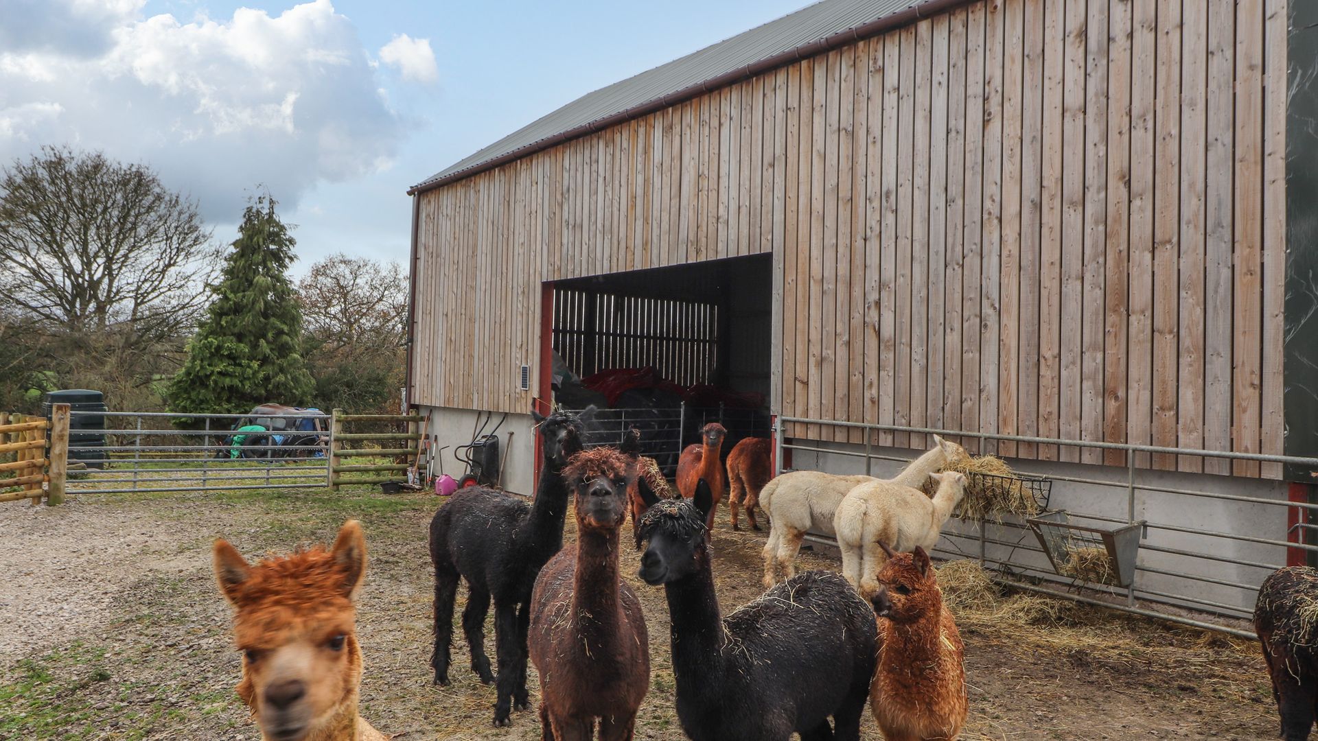 Colomendy Alpaca Farm - Coach House photo 1