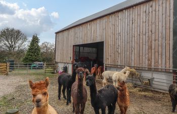 Colomendy Alpaca Farm - Coach House