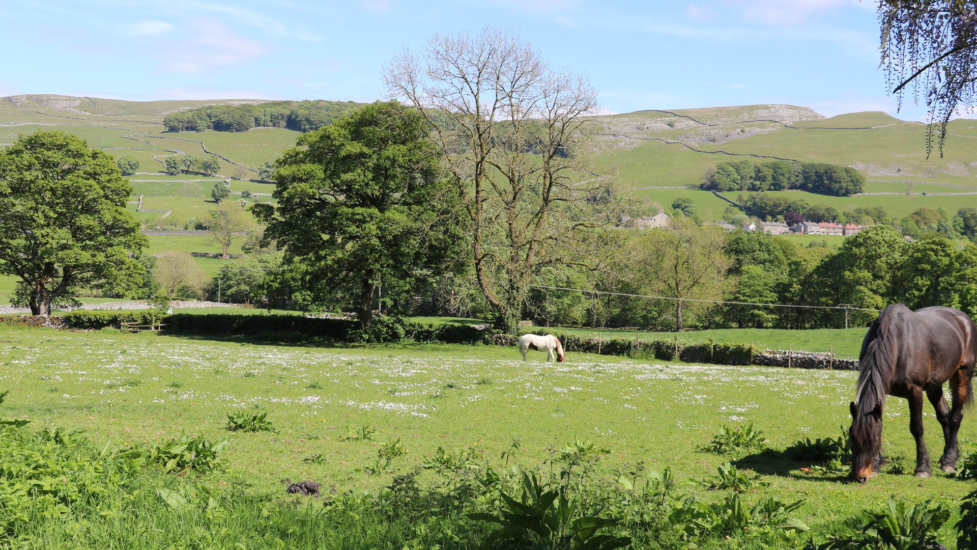 Pendle View Luxury Apartment photo 4