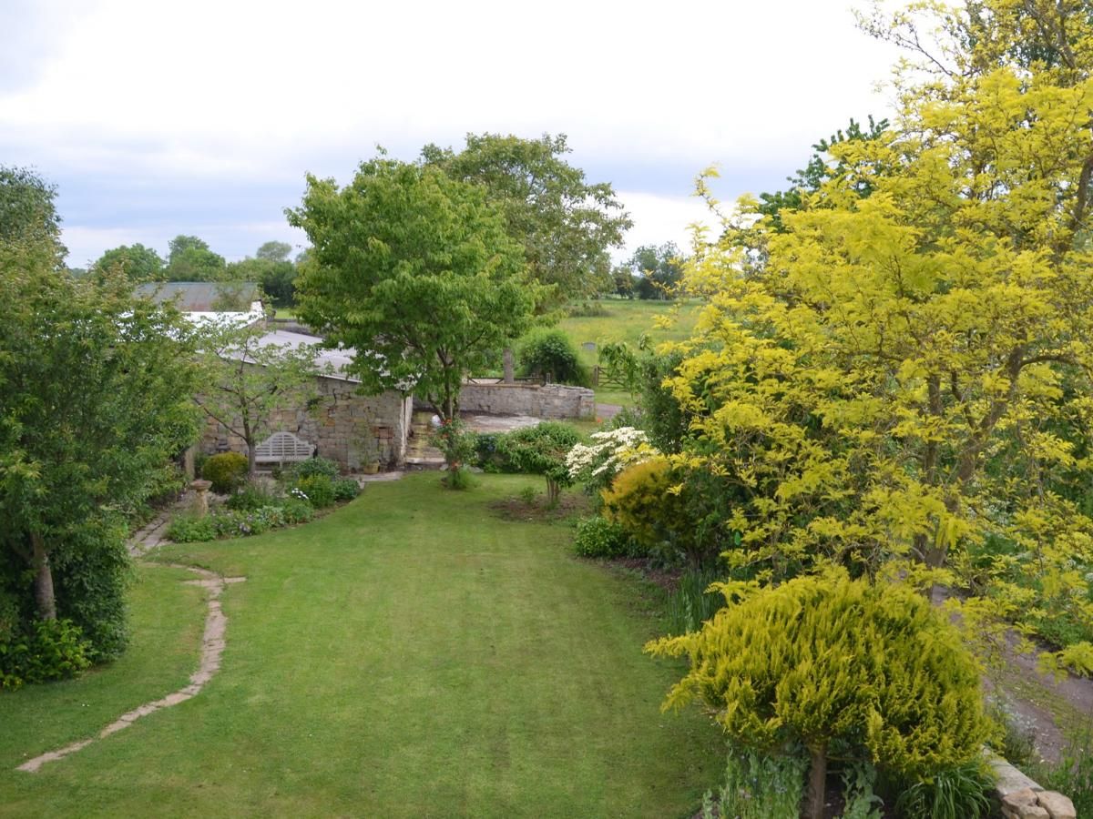 Wing in Somerset photo 7