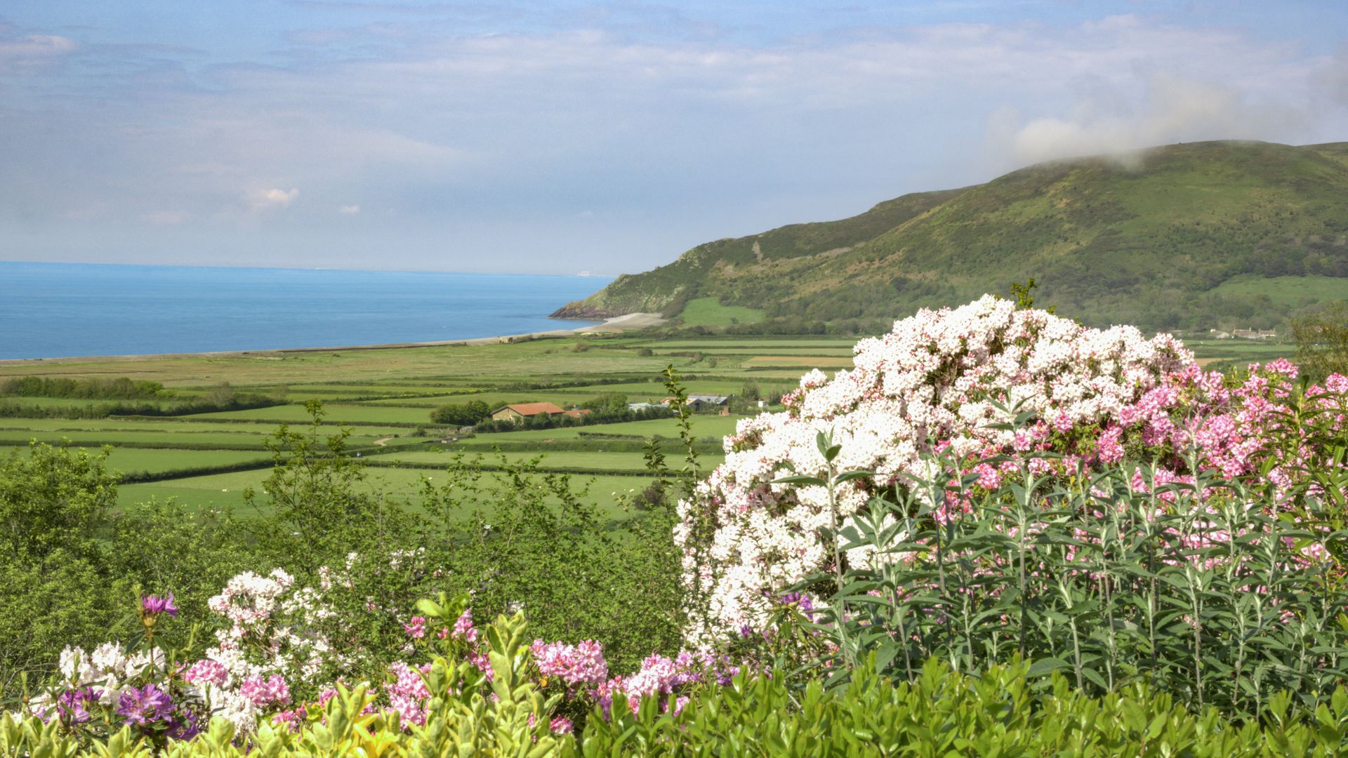 Little Hanger, Porlock photo 9