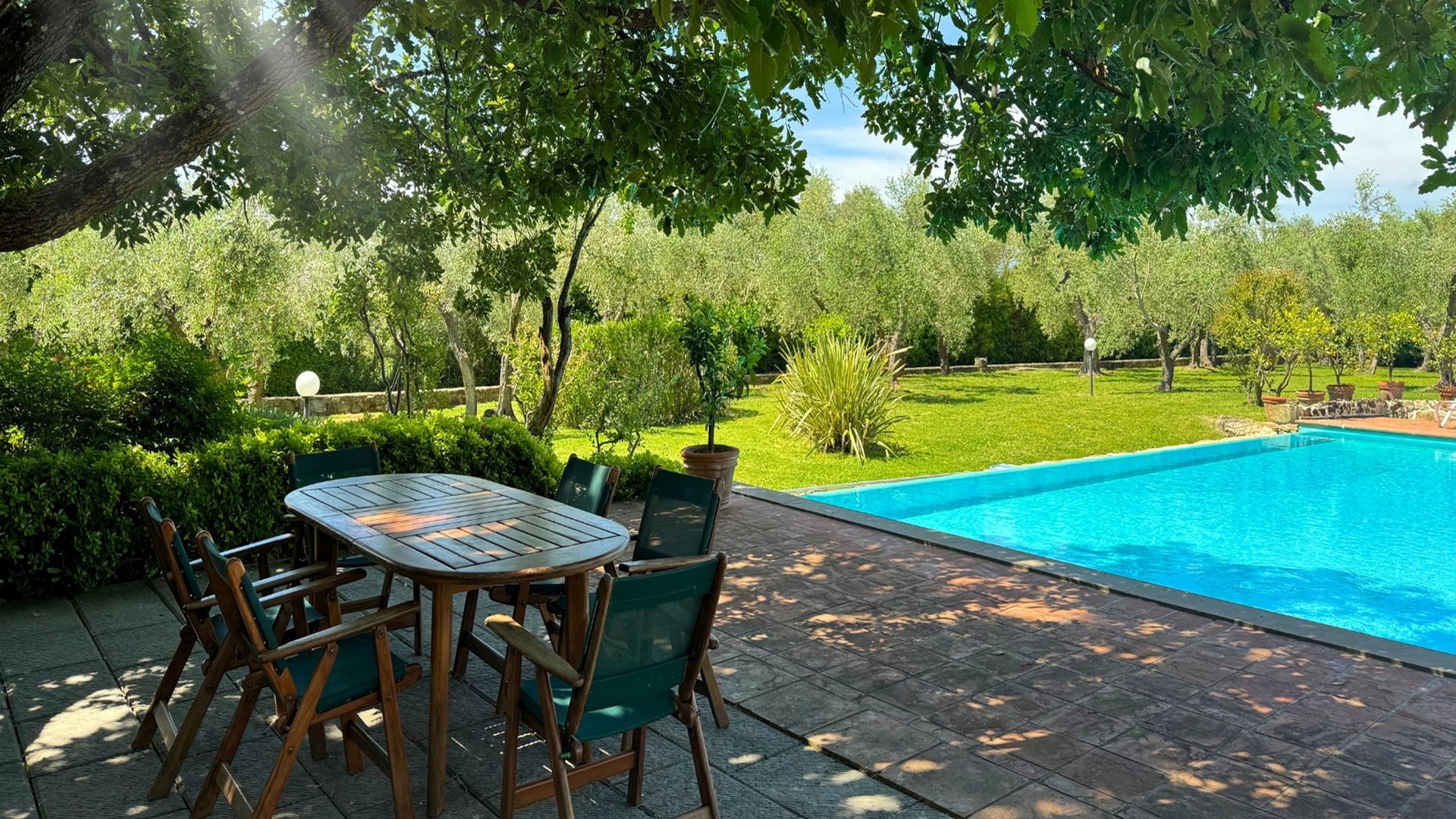 Tuscan Glory photo 3