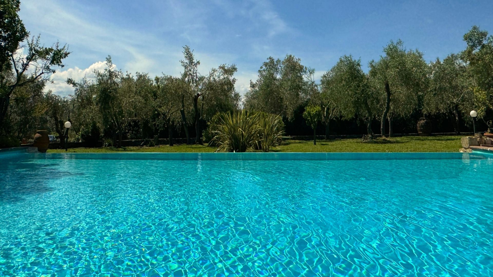 Tuscan Glory photo 6